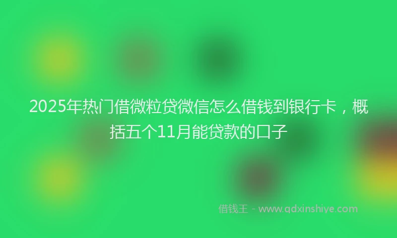 2025年热门借微粒贷微信怎么借钱到银行卡，概括五个11月能贷款的口子