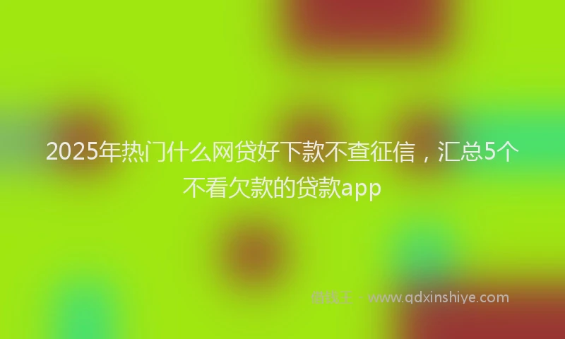 2025年热门什么网贷好下款不查征信，汇总5个不看欠款的贷款app