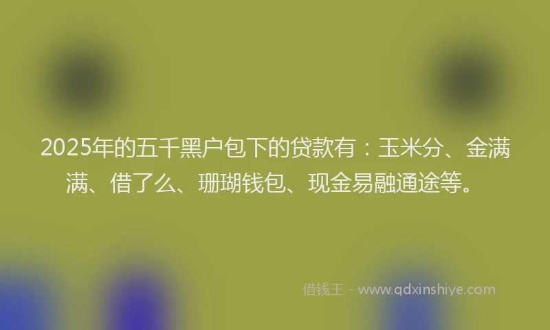 2025年的五千黑户包下的贷款有：玉米分、金满满、借了么、珊瑚钱包、现金易融通途等。
