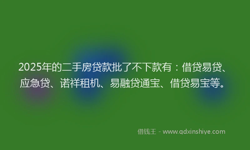 2025年的二手房贷款批了不下款有：借贷易贷、应急贷、诺祥租机、易融贷通宝、借贷易宝等。