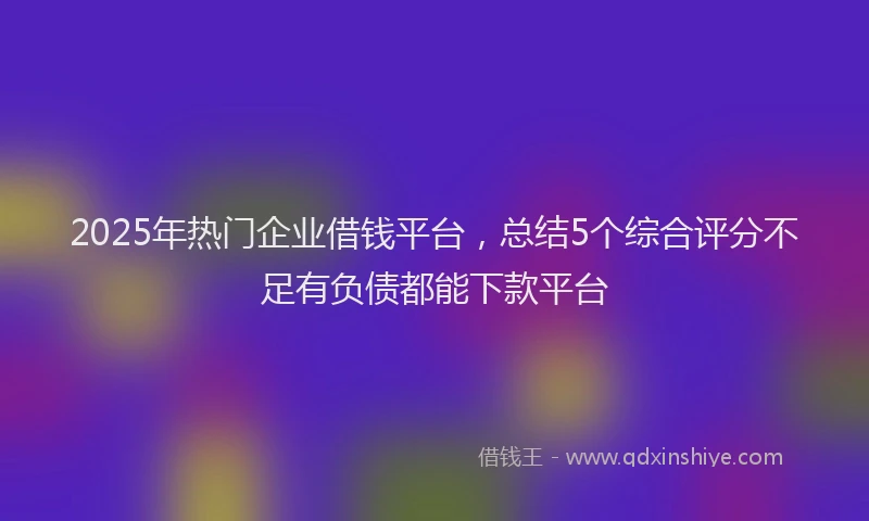 2025年热门企业借钱平台，总结5个综合评分不足有负债都能下款平台
