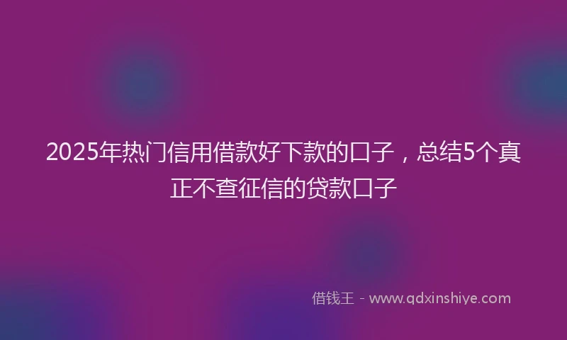 2025年热门信用借款好下款的口子，总结5个真正不查征信的贷款口子