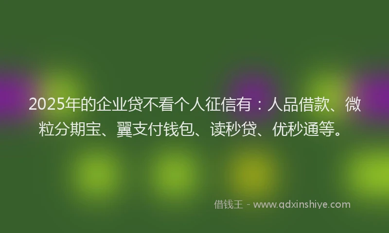 2025年的企业贷不看个人征信有：人品借款、微粒分期宝、翼支付钱包、读秒贷、优秒通等。