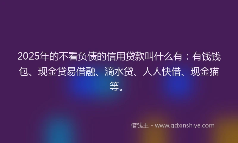 2025年的不看负债的信用贷款叫什么有：有钱钱包、现金贷易借融、滴水贷、人人快借、现金猫等。