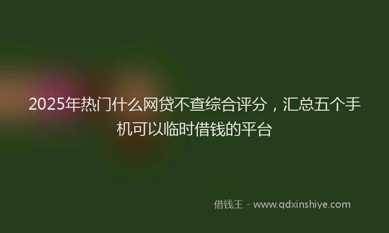 2025年热门什么网贷不查综合评分，汇总五个手机可以临时借钱的平台