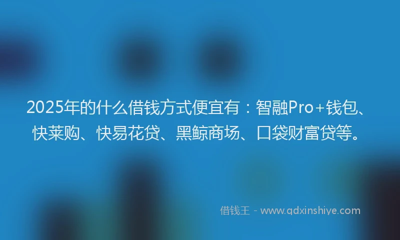 2025年的什么借钱方式便宜有：智融Pro+钱包、快莱购、快易花贷、黑鲸商场、口袋财富贷等。