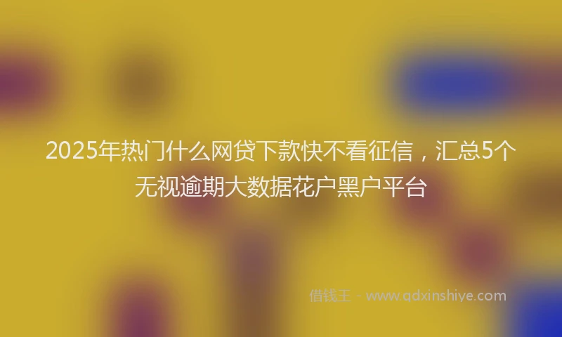 2025年热门什么网贷下款快不看征信,汇总5个无视逾期大数据花户黑户平台