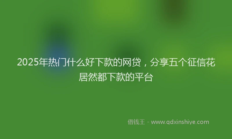 2025年热门什么好下款的网贷，分享五个征信花居然都下款的平台
