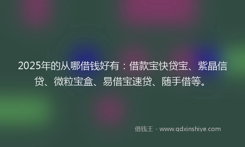 2025年的从哪借钱好有：借款宝快贷宝、紫晶信贷、微粒宝盒、易借宝速贷、随手借等。