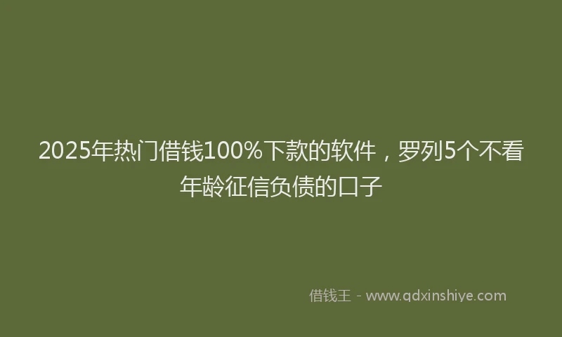 2025年热门借钱100%下款的软件，罗列5个不看年龄征信负债的口子