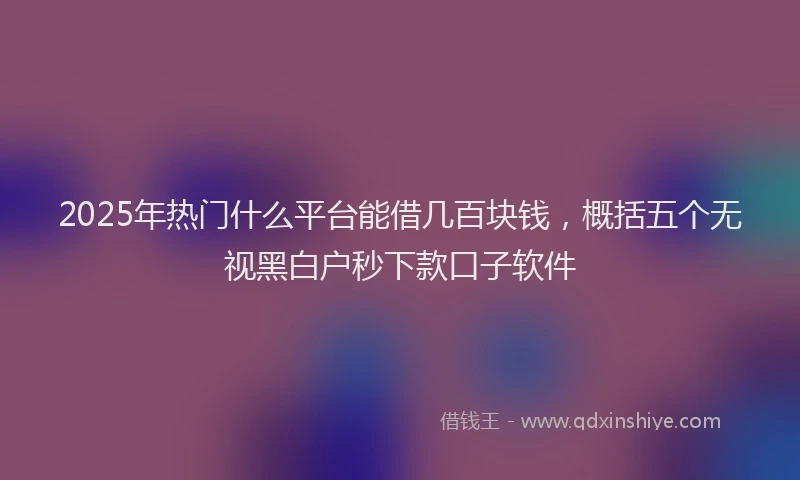 2025年热门什么平台能借几百块钱，概括五个无视黑白户秒下款口子软件