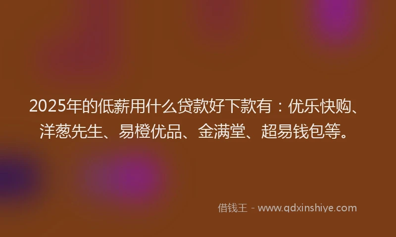 2025年的低薪用什么贷款好下款有：优乐快购、洋葱先生、易橙优品、金满堂、超易钱包等。