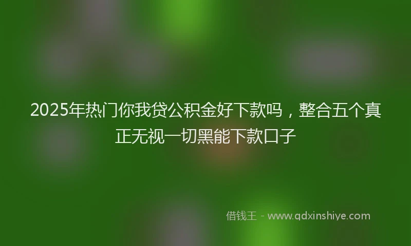 2025年热门你我贷公积金好下款吗，整合五个真正无视一切黑能下款口子