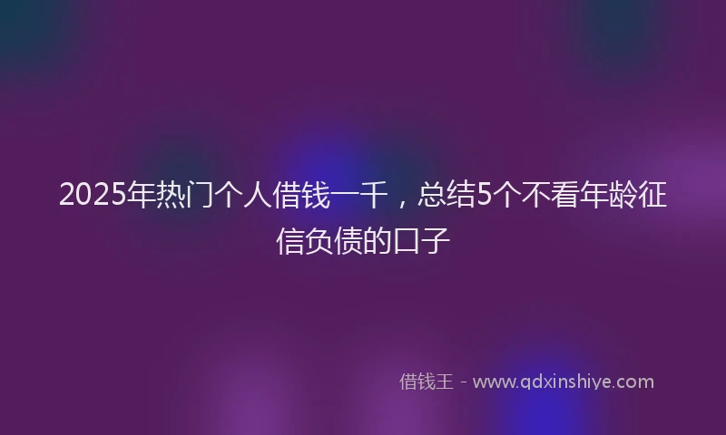 2025年热门个人借钱一千，总结5个不看年龄征信负债的口子