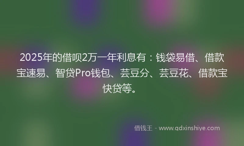 2025年的借呗2万一年利息有：钱袋易借、借款宝速易、智贷Pro钱包、芸豆分、芸豆花、借款宝快贷等。