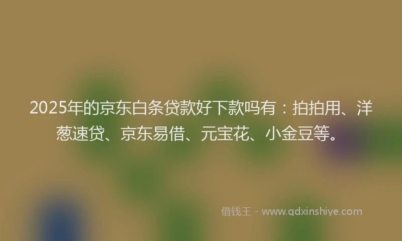 2025年的京东白条贷款好下款吗有：拍拍用、洋葱速贷、京东易借、元宝花、小金豆等。