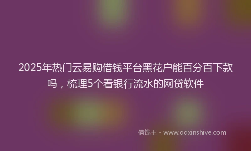 2025年热门云易购借钱平台黑花户能百分百下款吗，梳理5个看银行流水的网贷软件