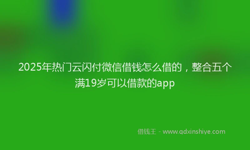 2025年热门云闪付微信借钱怎么借的，整合五个满19岁可以借款的app