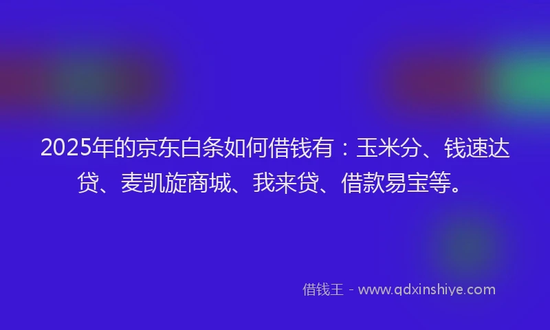 2025年的京东白条如何借钱有：玉米分、钱速达贷、麦凯旋商城、我来贷、借款易宝等。