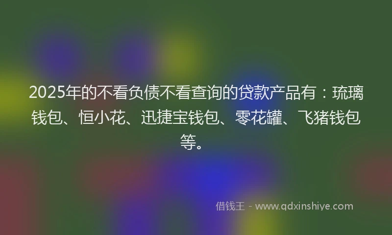 2025年的不看负债不看查询的贷款产品有：琉璃钱包、恒小花、迅捷宝钱包、零花罐、飞猪钱包等。