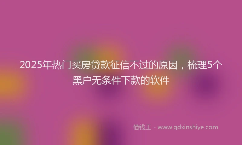 2025年热门买房贷款征信不过的原因，梳理5个黑户无条件下款的软件