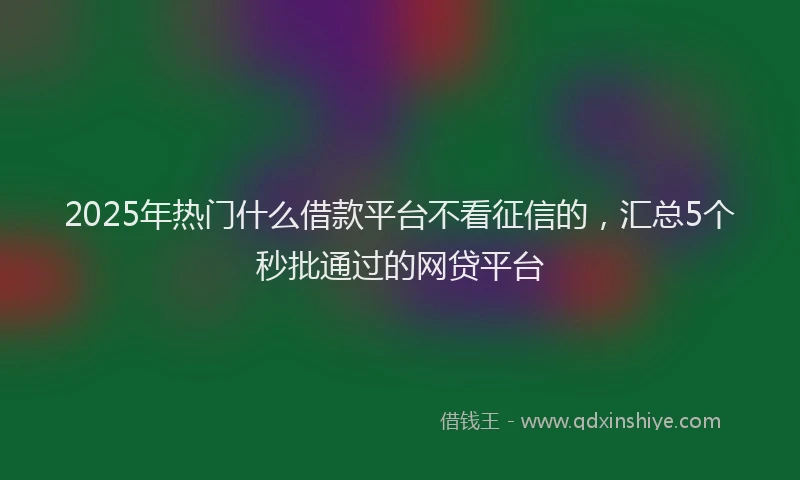 2025年热门什么借款平台不看征信的，汇总5个秒批通过的网贷平台