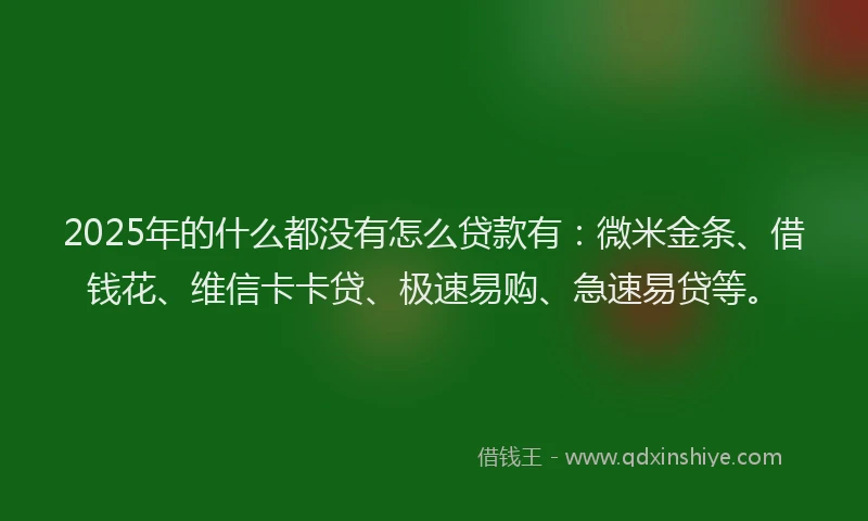 2025年的什么都没有怎么贷款有：微米金条、借钱花、维信卡卡贷、极速易购、急速易贷等。
