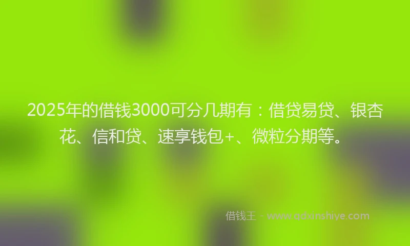 2025年的借钱3000可分几期有：借贷易贷、银杏花、信和贷、速享钱包+、微粒分期等。