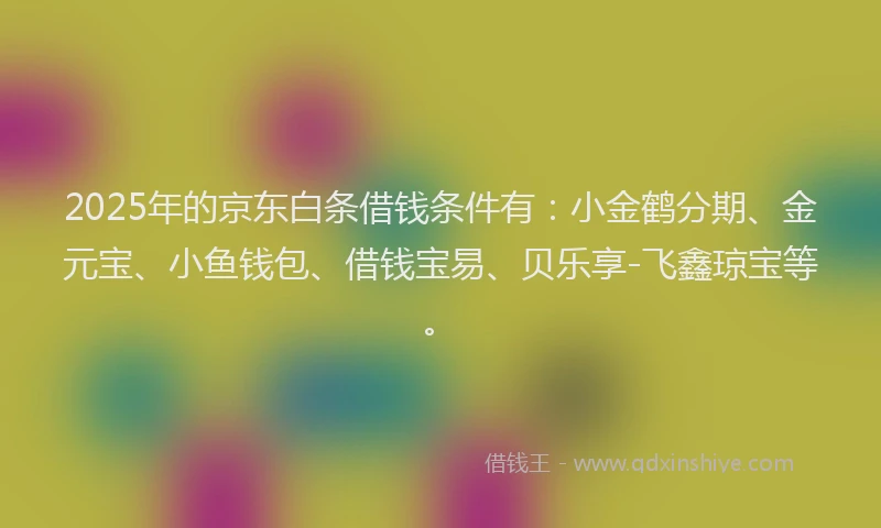 2025年的京东白条借钱条件有：小金鹤分期、金元宝、小鱼钱包、借钱宝易、贝乐享-飞鑫琼宝等。