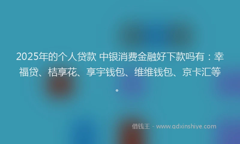 2025年的个人贷款 中银消费金融好下款吗有：幸福贷、桔享花、享宇钱包、维维钱包、京卡汇等。