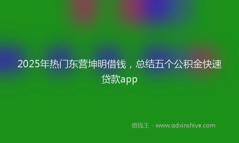 2025年热门东营坤明借钱，总结五个公积金快速贷款app