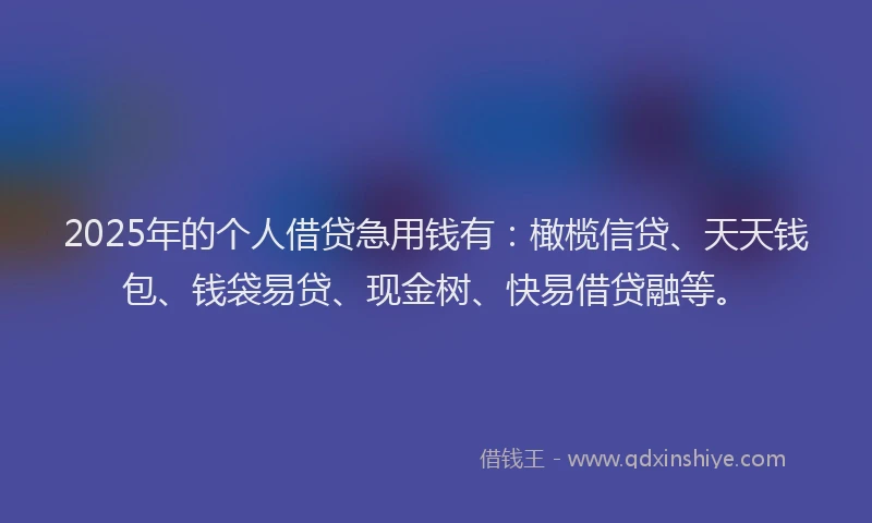 2025年的个人借贷急用钱有：橄榄信贷、天天钱包、钱袋易贷、现金树、快易借贷融等。
