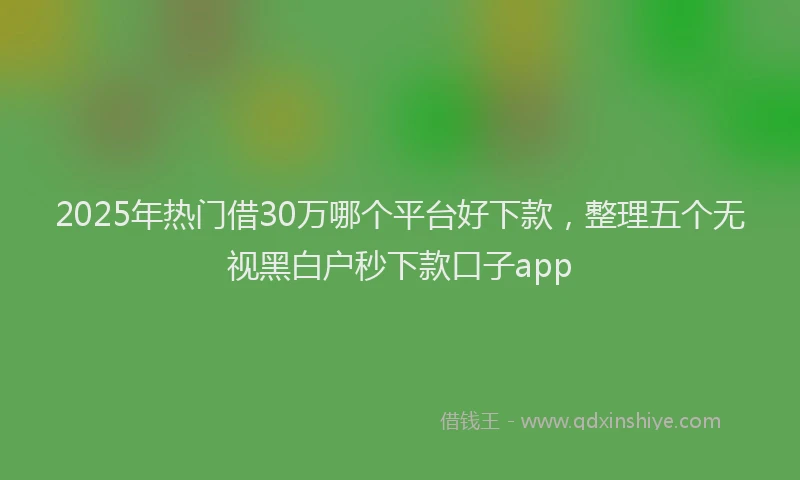 2025年热门借30万哪个平台好下款，整理五个无视黑白户秒下款口子app