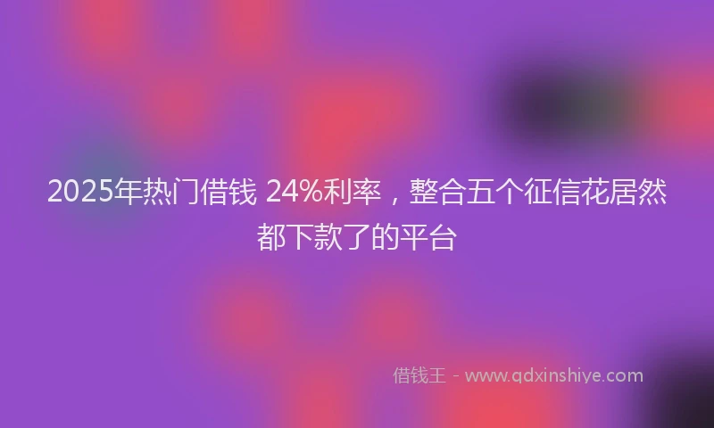 2025年热门借钱 24%利率，整合五个征信花居然都下款了的平台