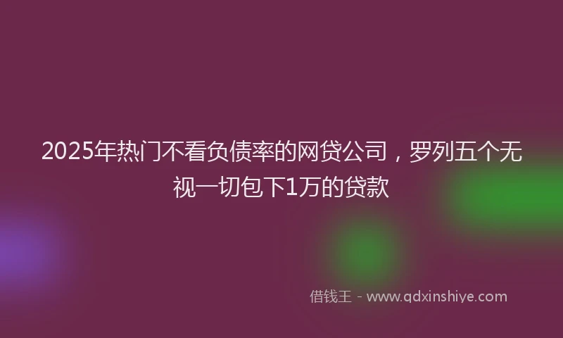 2025年热门不看负债率的网贷公司，罗列五个无视一切包下1万的贷款