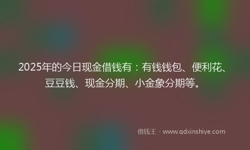 2025年的今日现金借钱有：有钱钱包、便利花、豆豆钱、现金分期、小金象分期等。