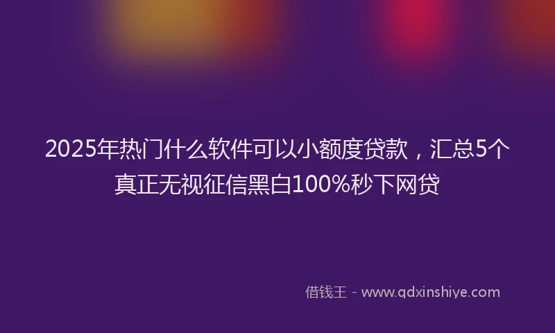 2025年热门什么软件可以小额度贷款，汇总5个真正无视征信黑白100%秒下网贷