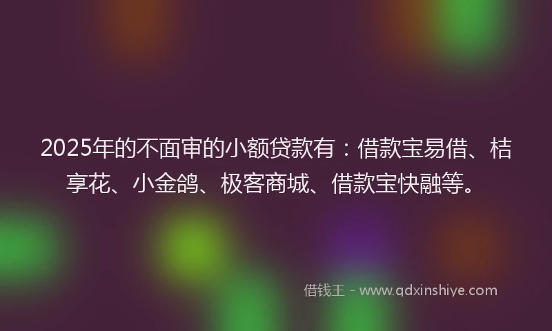 2025年的不面审的小额贷款有：借款宝易借、桔享花、小金鸽、极客商城、借款宝快融等。
