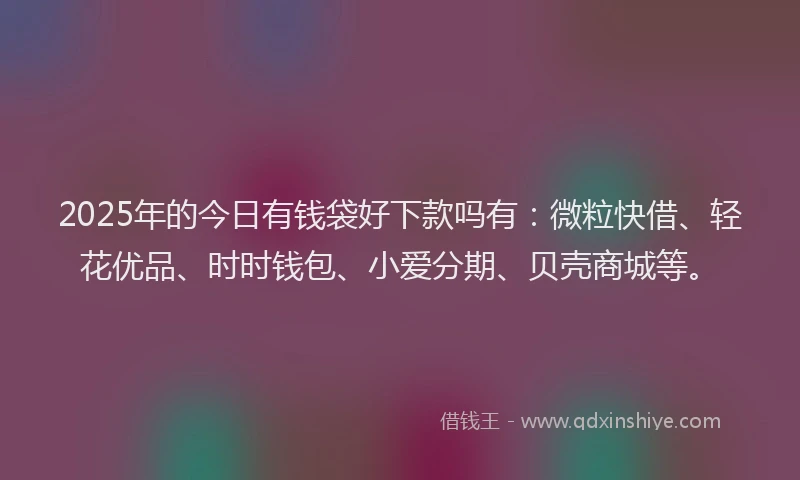 2025年的今日有钱袋好下款吗有：微粒快借、轻花优品、时时钱包、小爱分期、贝壳商城等。