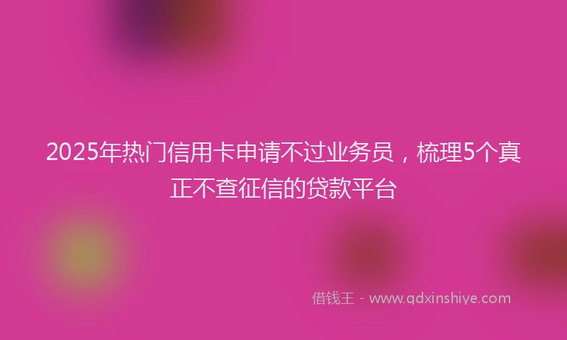 2025年热门信用卡申请不过业务员，梳理5个真正不查征信的贷款平台