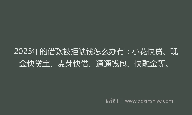 2025年的借款被拒缺钱怎么办有：小花快贷、现金快贷宝、麦芽快借、通通钱包、快融金等。