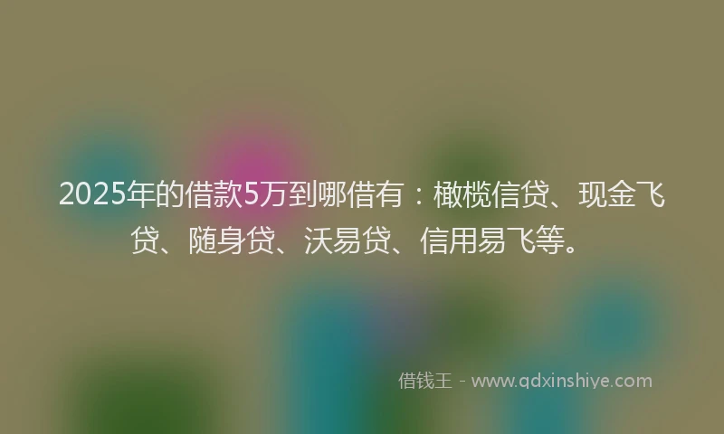 2025年的借款5万到哪借有：橄榄信贷、现金飞贷、随身贷、沃易贷、信用易飞等。