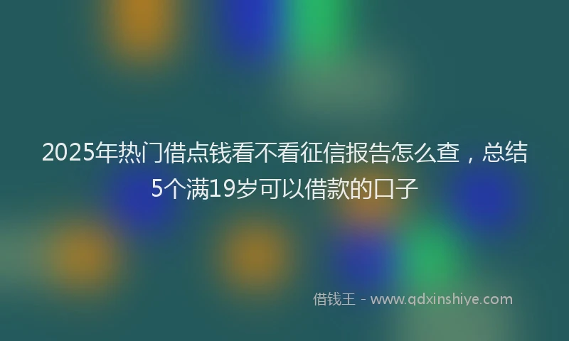 2025年热门借点钱看不看征信报告怎么查，总结5个满19岁可以借款的口子