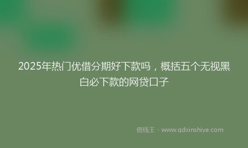 2025年热门优借分期好下款吗，概括五个无视黑白必下款的网贷口子