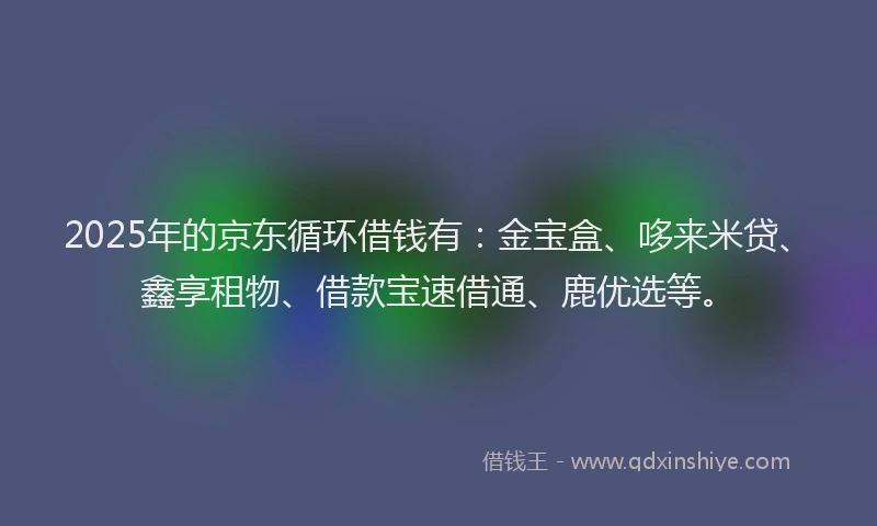2025年的京东循环借钱有：金宝盒、哆来米贷、鑫享租物、借款宝速借通、鹿优选等。