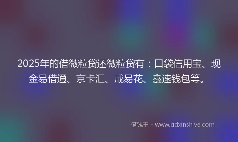 2025年的借微粒贷还微粒贷有：口袋信用宝、现金易借通、京卡汇、戒易花、鑫速钱包等。
