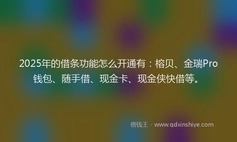 2025年的借条功能怎么开通有：榕贝、金瑞Pro钱包、随手借、现金卡、现金侠快借等。