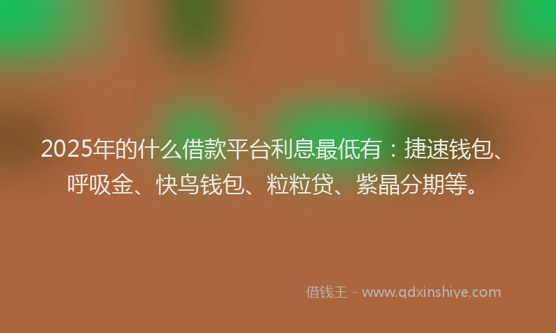 2025年的什么借款平台利息最低有：捷速钱包、呼吸金、快鸟钱包、粒粒贷、紫晶分期等。