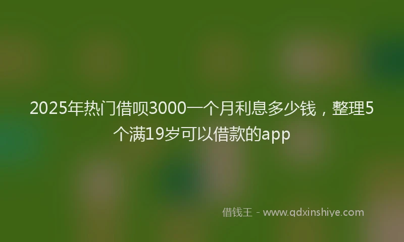 2025年热门借呗3000一个月利息多少钱，整理5个满19岁可以借款的app