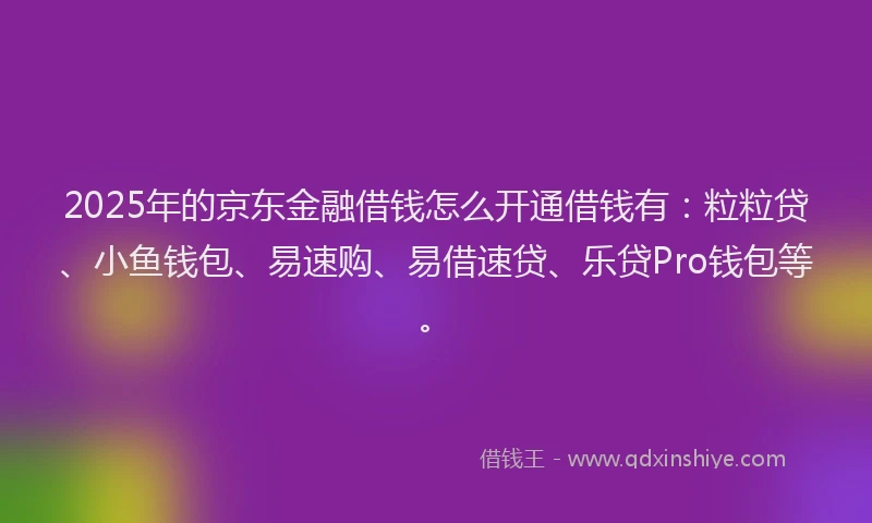 2025年的京东金融借钱怎么开通借钱有：粒粒贷、小鱼钱包、易速购、易借速贷、乐贷Pro钱包等。